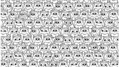 Annoying Puzzle Game Level 88 Walkthrough Solution