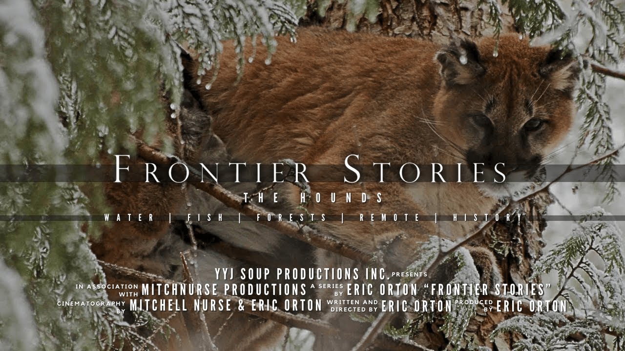 Densest Cougar Population on the Planet | Frontier Stories S1 E04 "The Hounds"