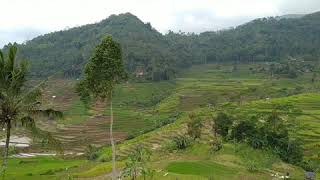 Di Kampung Ci Kadu