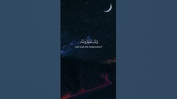 أفلا يتوبون إلى الله بصوت عبدالرحمن مسعد من سورة المائدة