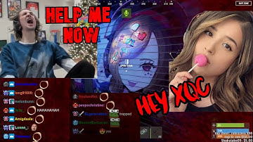 XQC LEARNS TO LOVE POKIMANE BY GETTING TORTURED ALIVE - RUST WITH CHAT !