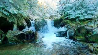 Frozen Stream Meditation One Hour of Peace