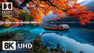 The Next-Gen 8K HDR 120FPS Dolby Vision (8K Video ULTRA HD)