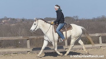 Leos Lucky King Too - riding in outdoor arena #1 - ValleyViewRanch.net