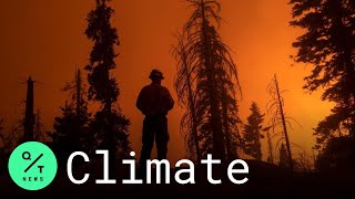 What Role Is Climate Change Playing in California's Historic Wildfires?