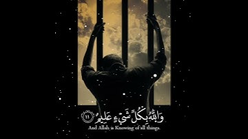 حالات واتس اب تلاوة خاشعة 💛 القارئ رعد الكردي 🎧