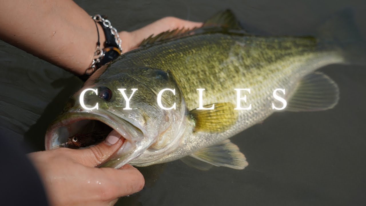 CYCLES A FLY FISHING FILM FLY FISHING THE TEXAS HILL COUNTRY YouTube
