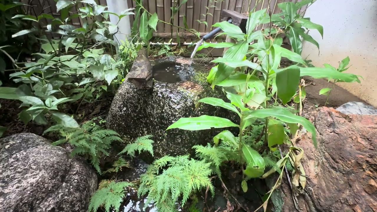 Sleep-friendly Japanese water sounds ASMR 🌟 Water and courtyard in a PVC pipe tunnel