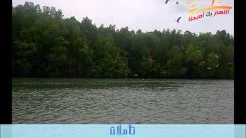 تأملات ( سورة القلم1-6 ) مع الشيخ / صالح المغامسي