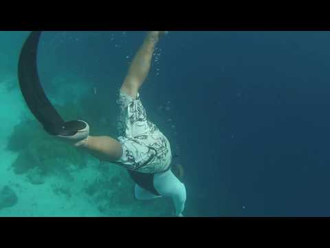 Freediving in Curaca with Olav 70 feet deep with Big Turtle Encounter