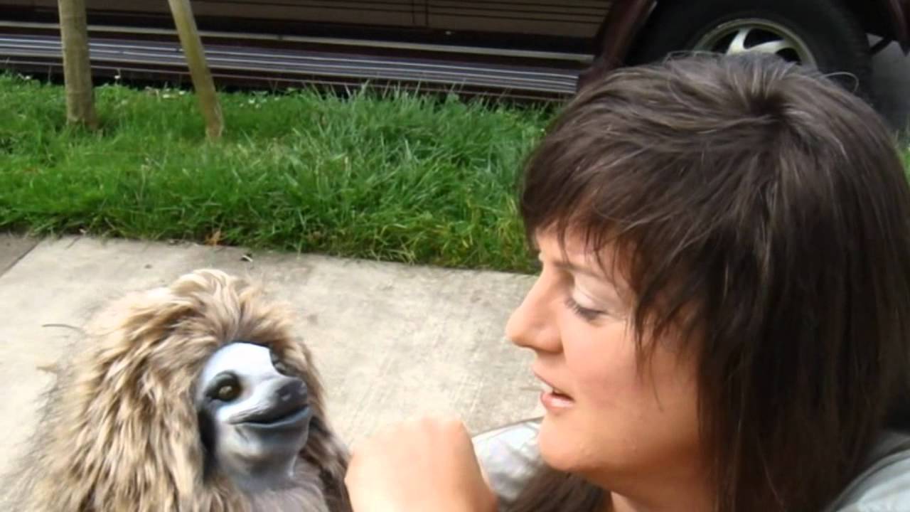 I made a sloth puppet