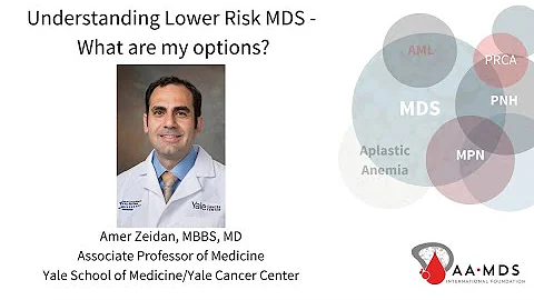 Understanding Lower Risk MDS  What Are My Options