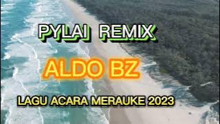 Download lagu PYALAI, ft Aldo bz lagu acara Remix 2023