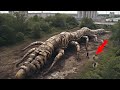 What Scientists Discovered in the CHERNOBYL Shocked the Whole World // Top 20