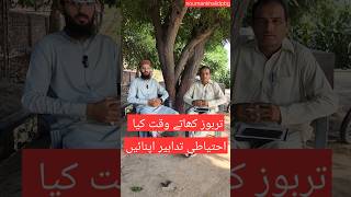 تربوز کھاتے وقت کیا احتیاطی تدابیر اپنائیں؟#agriinfo #AgriEducation #watermelon #noumankhalidpbg