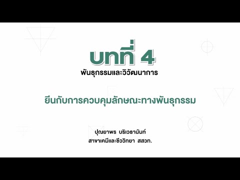 วีดีโอ: องค์ประกอบของ Alu มีบทบาทอย่างไรในการควบคุมยีนในมนุษย์?