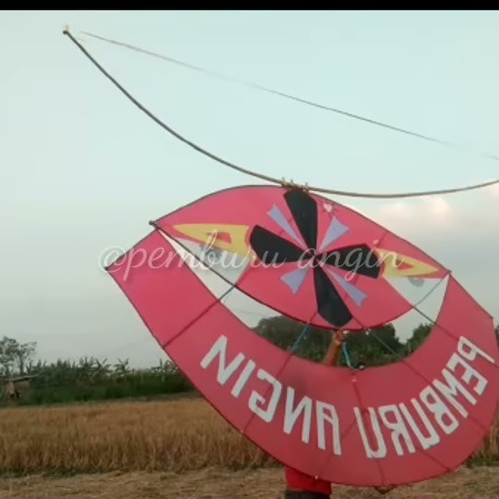 Story wa layang layang @ pemburu angin
