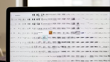 A.I. Experiments: Bird Sounds