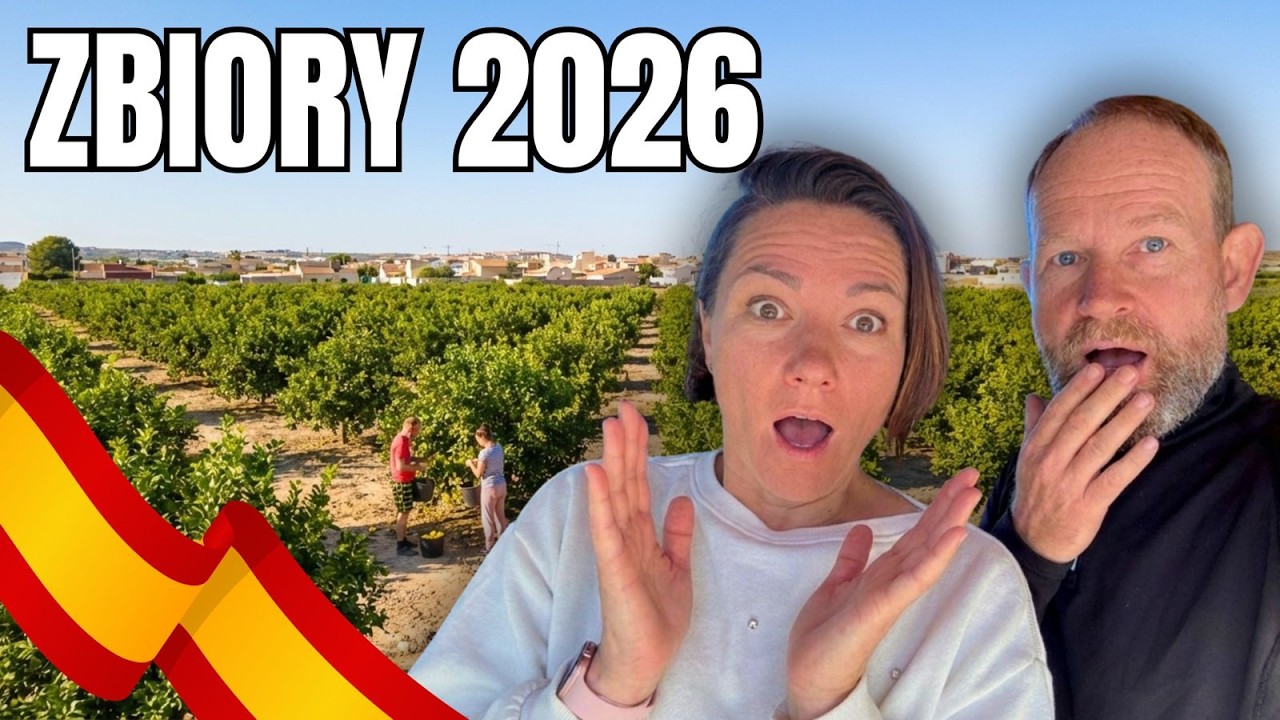 Klęska nieurodzaju w cytrynowym sadzie.