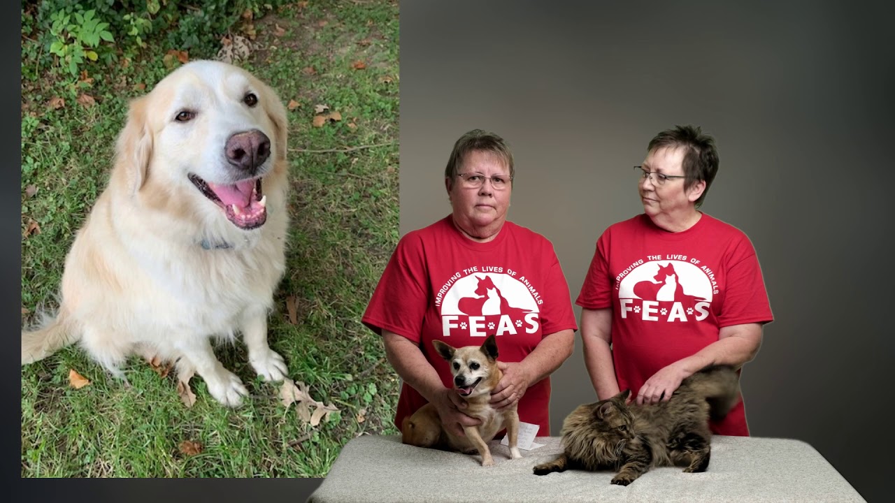 FEAS (Friends of the Emporia Animal Shelter) Emporia Community