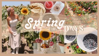SPRING DAY IN THE LIFE | blueberry + peach picking, trader joes haul, & date night!