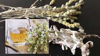 Yaylada Yetişen Dağ Çayı Nasıl Demlenir Faydaları Nelerdir