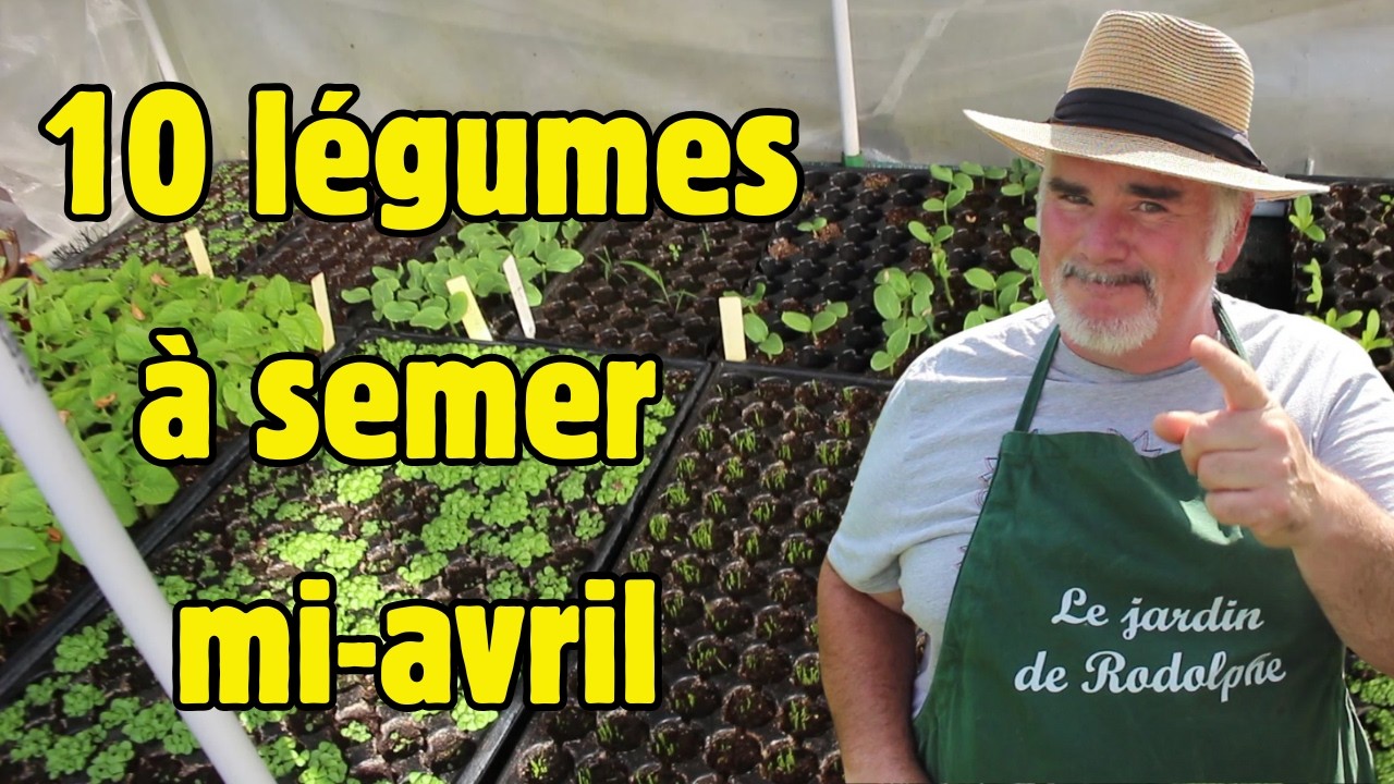 Les 10 légumes les plus faciles à cultiver au printemps