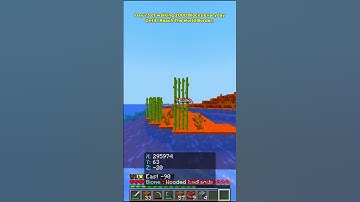 Day 73 of walking 2000 Blocks Every day until I reach the World Border. #minecraft #fypminecraft