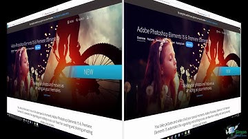 Master Adobe Photoshop Elements 15 the Easy Way : Introduction to Photoshop Elements 15 Course