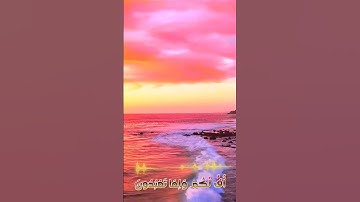 سورة الأنبياء و؛،كا.نك تسمعها لأ،.و..ل مر.ة💐❣️🌻،؛ 💚🧡💙،،💝بصوت الشيخ حمزة مدبو.ح 💟💮،. 💓. 💐🌷؛ 💗🌹