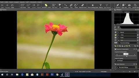 How To Edit Nikon RAW files in Capture NXD all Nikon Coolpix P1000,B700 Tutorial