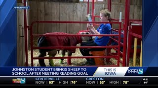 Johnston elementary student brings sheep to class as reading goal reward