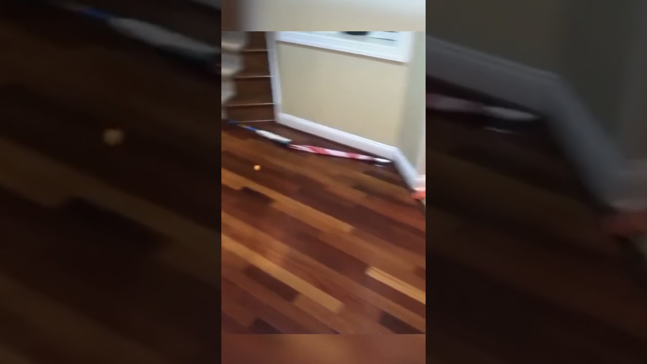 When this cat assisted in one of the greatest trick shots of all time 🤯🔥 | 