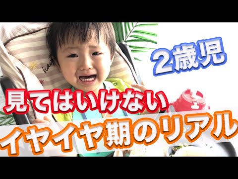 【イヤイヤ期】私の対処法☆２歳児のイヤイヤどう乗り切る？【育児】