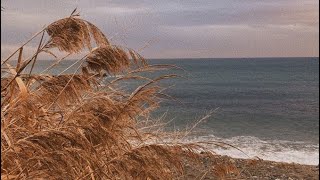 От Чувства Вины Саблиминал Ты Ничего Не Должна, Море Смоет Все Тяжёлые Мысли, Вину