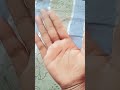 #shorts #viral #funny  #funnymoments #shortsvideo #ytshorts #youtubevideo #its monika vibes