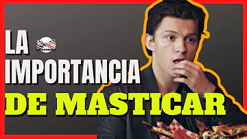 ¿Cuántas veces hay que masticar antes de tragar?