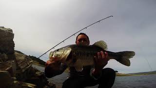 Deps 250 Swimbait Bass Video by Bassintech