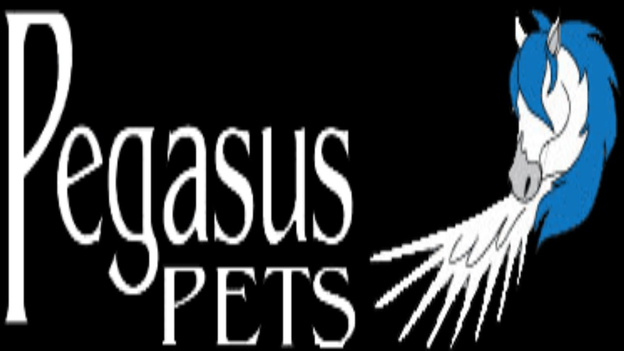 Pegasus pets, www.pegasuspets.co.uk, morecambe pet shop, Regent street