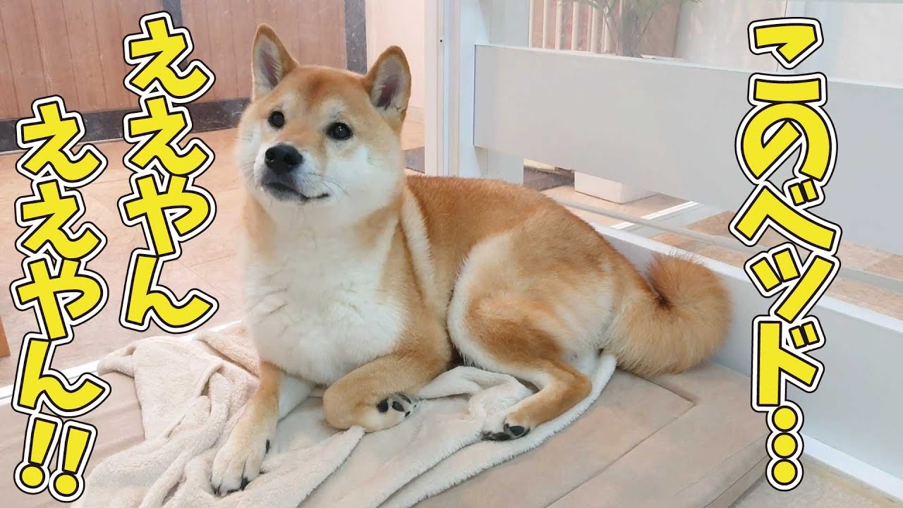 maxresdefault.jpg