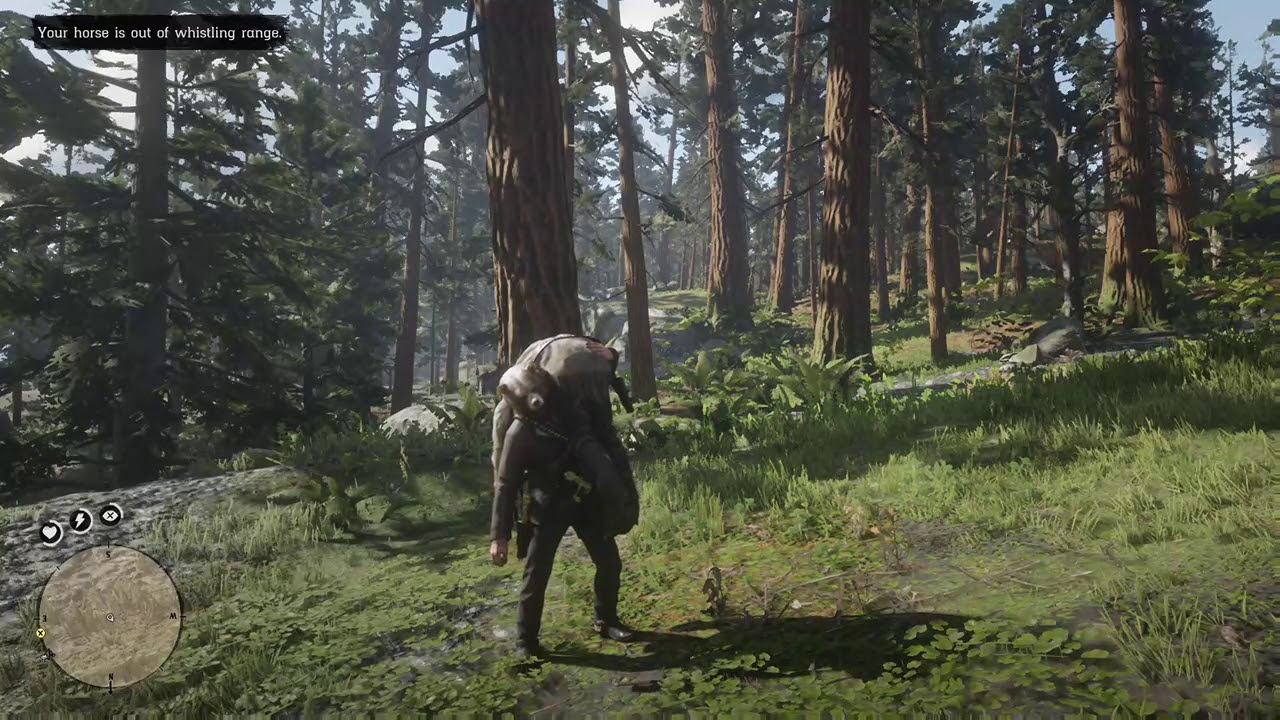 Even the horse whistling is player affected [RDR2 ] YouTube