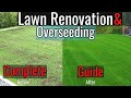 Fall renovation  overseeding simple step by step guide 2023