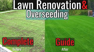 Fall Renovation & Overseeding: Simple Step by Step Guide 2023