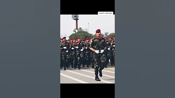 القوات الخاصة كردوس القوات الخاصة العراقية ستوريات عسكرية الفوج التكتيكي 
