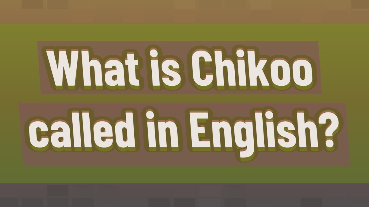 What Is Chikoo Called In English YouTube What Is Chikoo Called In English YouTube