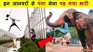 जानवरों ने करदी ऐसी हरकत जिसे देखकर सबके होश उड़ गये | Latest Animal Moments Caught Funny Animals