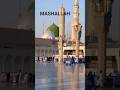 Aap ﷺ Ke Dar Se Koi Na Khali Gaya 💚 | Heart Touching Naat | Islamic Short #shots #shortsfeed #naat