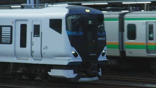 横須賀線普通逗子行きE217系1363SY-5と特急踊り子8号東京行きE257系3028MNC-34+E257系NA-13、横浜線各駅停車八王子行きE233系1421KH024が走行！【横浜駅】