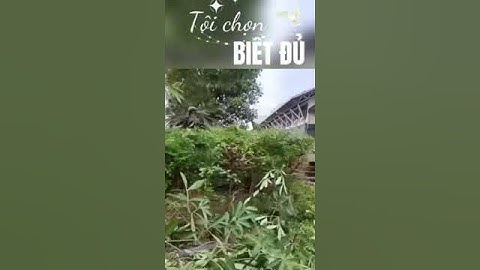 Cắt tỉa cây cho khuôn viên Nhà ga