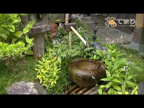 木村好夫♪指輪♪作曲・森進一♪花のステージ594－263